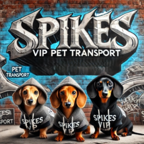 Spikes VIP Pet Transport  - Bellmore, NY