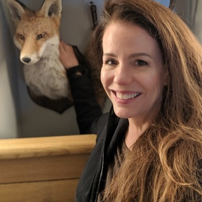 Healing for Our Animal Friends - Frederick, MD