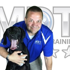 Michigan Dog Training Services - Plymouth, MI