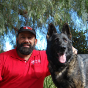 Pro-Train Professional Dog Training Consultation - Vista, CA