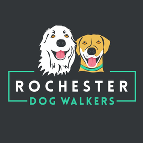 Rochester Dog Walkers and Pet Sitters - Rochester, NY