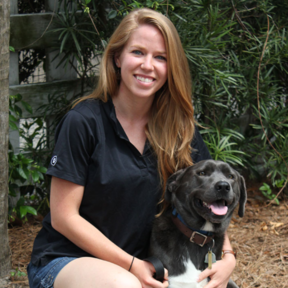 Bright Mind Canine Services - Private Dog Training - Charleston, SC