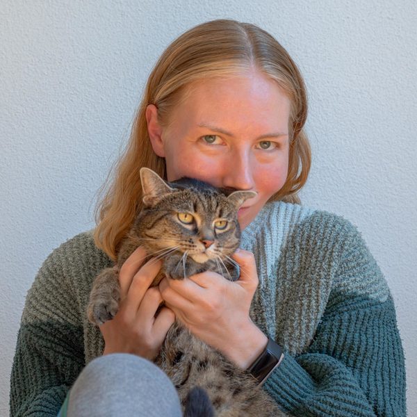 Allisonhall holdingcat iris