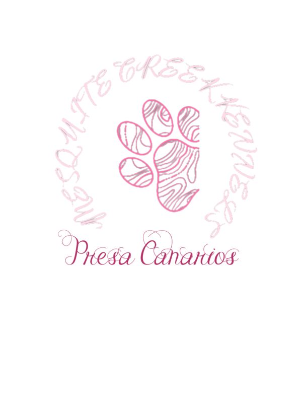 Bazaart 20231210 062734 453