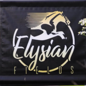 Elysian Fields Equestrian Center - Horse Boarding - Montoursville, PA