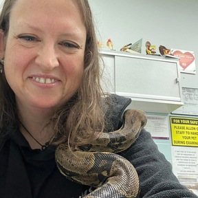 Distance Animal Reiki Care - Clark Mills, NY