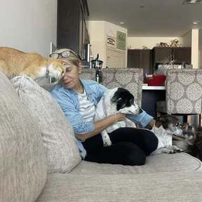 Professional In-Home Pet Sitter - Roseville, CA