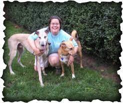 Akin Family Dog Training - Pittsburgh, PA
