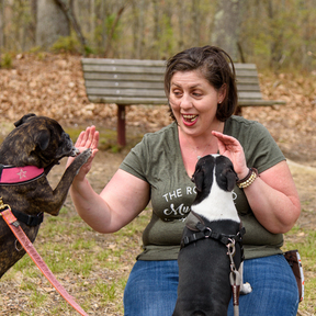 Allison's Animal Academy - Dog Training and Animal Reiki - Litchfield, CT