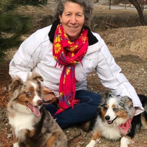 VK Animal Communication and Energy Therapy - Weatherby Lake, MO