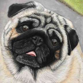 Custom Pet Portrait Made From Your Photo - Pet Paintings -New York, NY