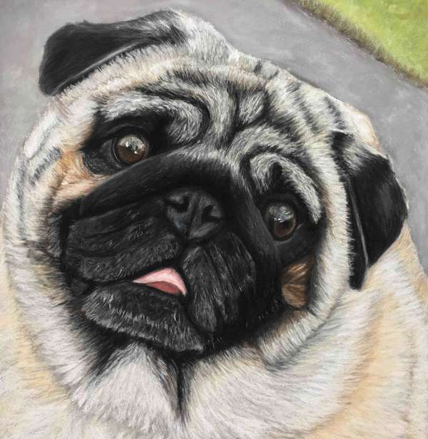 Custom Pet Portrait Made From Your Photo - Pet Paintings - New York, NY