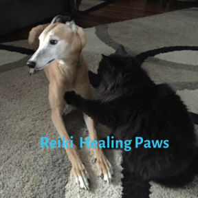 Northwest Animal Healing - Pet Psychic Medium - Sandpoint, ID