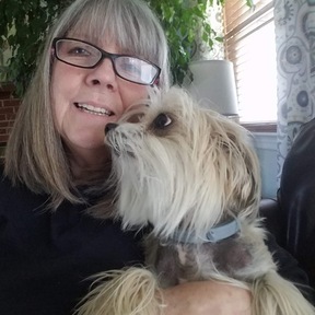 Building Communication - Dog Trainer and Behaviorist - Mt Airy, MD