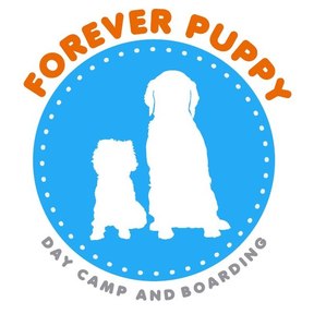 Forever Puppy Day Camp and Dog Boarding - Mission Viejo, CA