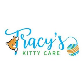 Tracy’s Kitty Care - In Home Pet and Cat Sitting - East Amherst, NY
