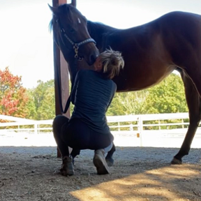 Maitriveda Wellness - Equine Massage Therapist - Waxhaw, NC