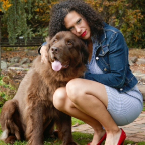 Your 4 Legged Pet Service - Dog Walking and Pet Sitting Care - Hartford, CT