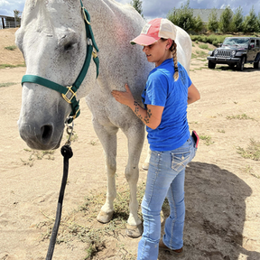 Equine Paws Massage - Horse Massage Therapy - Silver Springs, NV