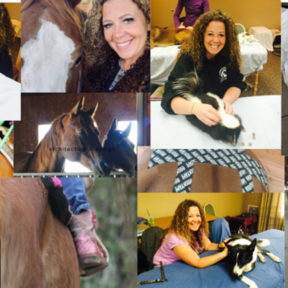 Whole Body Balancing - Animal Chiropractic Care - Veneta, OR