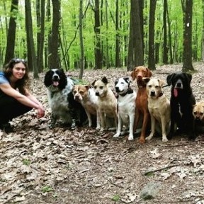 Mind of Dog - Certified Private Dog Trainers - Morristown, NJ