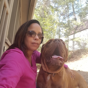 Positive Dog Training - Kennesaw, GA