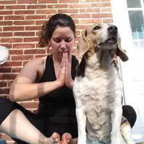 Radiant Ruby Wellness Canine Massage - York, PA