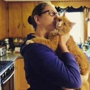 Rub My Belly Animal Massage and Pet Reiki Care - Lowell, MA