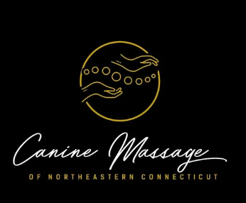 Screenshot 2025 11 22 114551