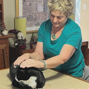 Allison's Animal Reiki Healing Services - Sarasota, FL