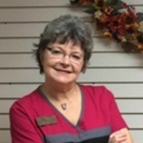 All About Pets Veterinary - Animal Acupuncture - Travelers Rest, SC