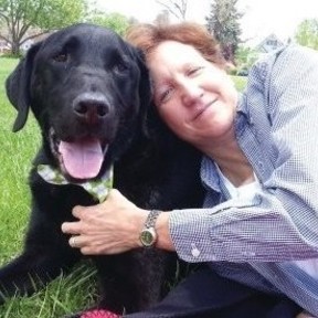 Canine Rehabilitation & Conditioning Group  - Broomfield, CO