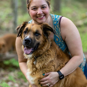 The Southwick Pet Photographer  - Southwick, MA