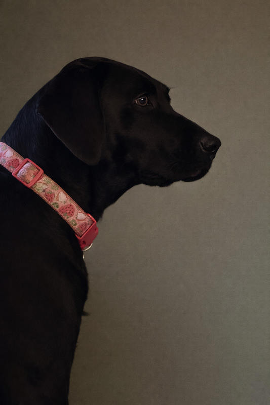 9814522c b944 47e3 a836 89253b4c58be