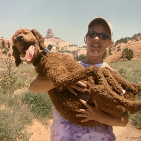 Cleo's Legacy Holistic Pet Health Coach - Canine Nutrition - Woodstock, NY