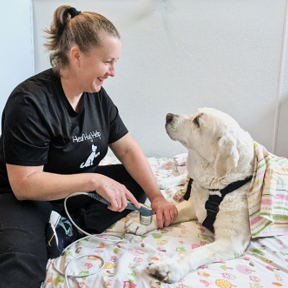 Canine Rehab of Orange County - Physical Therapists - Santa Ana, CA