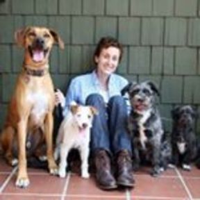 Excellent & Reliable Dog Walking & Pet Sitting - Los Angeles - Los Angeles, CA