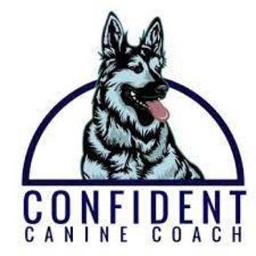 Confident Canine Coach - Private Certified Dog Trainer - Richmond, VA
