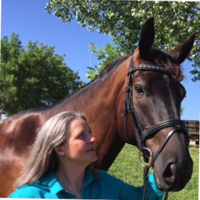 Oregon Equine - DVM Veterinary Care For Horses - Damascus, OR