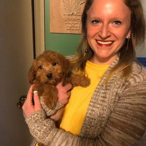 Abra Paw-Dabra - Pet Sitting, Daycare, and Dog Walking - Waxhaw, NC