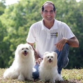 ClickR TrainR - Certified Dog Trainer - Fort Lauderdale, FL