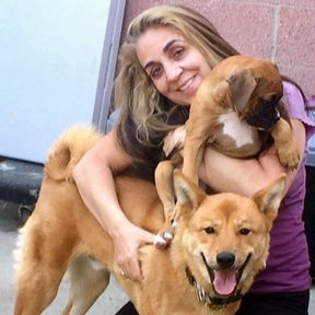 Canine Path Dog Training - Yorba Linda, CA