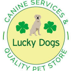Lucky Dogs Canine Services and Pet Sitting - Skaneateles, NY
