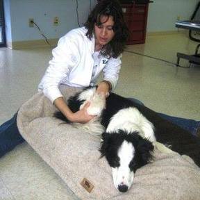 Paws and Pamper - Animal Massage - Missoula, MT