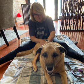 K9 Therapy Massage - Oakbrook Terrace, IL