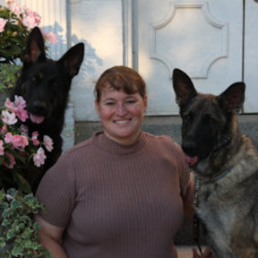 Reach K9 - In Home Private Dog Training - Powhatan, VA