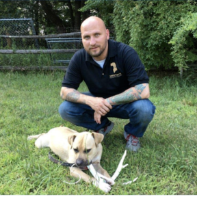 In-Home Dog Training  - Lynchburg, VA