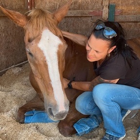 Yvonne Magee CESMT Equine Massage Therapist  - Killeen, TX
