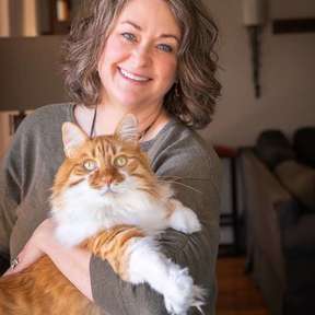 Feline Behavior Support - Whole Household Harmony Framework - Englewood, CO