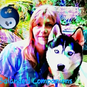 Balanced Companions - Dog Training and Behavior Modification - Ventura, CA